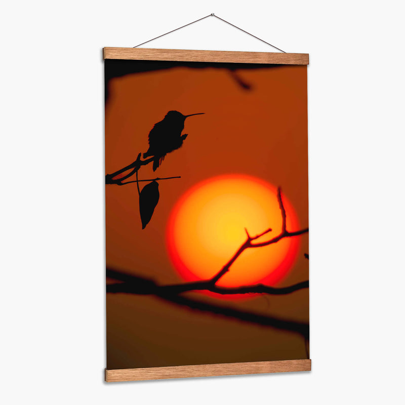 Colibrí al Atardecer - Cuauhtli.foto | Cuadro decorativo de Canvas Lab