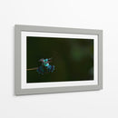Cuadro decorativo de Canvas Lab