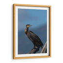 Retrato de un Cormorán - Cuauhtli.foto | Cuadro decorativo de Canvas Lab