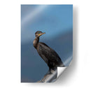 Retrato de un Cormorán - Cuauhtli.foto | Cuadro decorativo de Canvas Lab