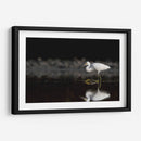 Garza cazando - Cuauhtli.foto | Cuadro decorativo de Canvas Lab