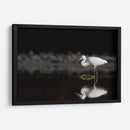 Garza cazando - Cuauhtli.foto | Cuadro decorativo de Canvas Lab