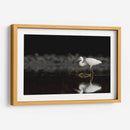 Garza cazando - Cuauhtli.foto | Cuadro decorativo de Canvas Lab