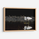 Garza cazando - Cuauhtli.foto | Cuadro decorativo de Canvas Lab