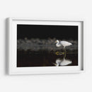 Garza cazando - Cuauhtli.foto | Cuadro decorativo de Canvas Lab