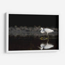 Garza cazando - Cuauhtli.foto | Cuadro decorativo de Canvas Lab