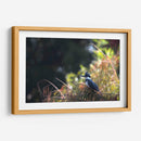 Martín Pescador - Cuauhtli.foto | Cuadro decorativo de Canvas Lab