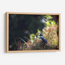 Martín Pescador - Cuauhtli.foto | Cuadro decorativo de Canvas Lab