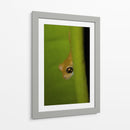 Cuadro decorativo de Canvas Lab