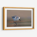 Playerito Paseando - Cuauhtli.foto | Cuadro decorativo de Canvas Lab