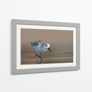 Cuadro decorativo de Canvas Lab