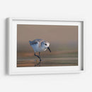 Playerito Paseando - Cuauhtli.foto | Cuadro decorativo de Canvas Lab