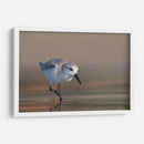 Playerito Paseando - Cuauhtli.foto | Cuadro decorativo de Canvas Lab