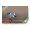 Playerito Paseando - Cuauhtli.foto | Cuadro decorativo de Canvas Lab