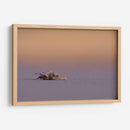 Tortugita caminando - Cuauhtli.foto | Cuadro decorativo de Canvas Lab