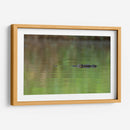 Cocodrilo observando  - Cuauhtli.foto | Cuadro decorativo de Canvas Lab