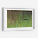 Cocodrilo observando  - Cuauhtli.foto | Cuadro decorativo de Canvas Lab