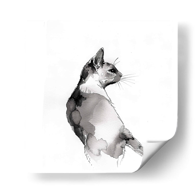 Dibujo de gato - Cecilia Flores | Cuadro decorativo de Canvas Lab