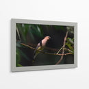 Cuadro decorativo de Canvas Lab