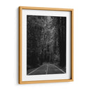 Avenida de los gigantes - ALEJANDRE PHOTOGRAPHY | Cuadro decorativo de Canvas Lab