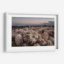 De la tierra al cielo. - Luis Arriaga | Cuadro decorativo de Canvas Lab