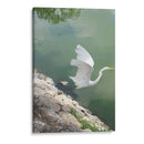 Garza y Libélula - FotoCompagny | Cuadro decorativo de Canvas Lab