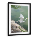 Garza y Libélula - FotoCompagny | Cuadro decorativo de Canvas Lab