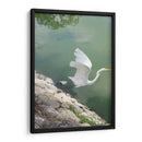 Garza y Libélula - FotoCompagny | Cuadro decorativo de Canvas Lab