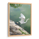 Garza y Libélula - FotoCompagny | Cuadro decorativo de Canvas Lab