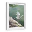 Garza y Libélula - FotoCompagny | Cuadro decorativo de Canvas Lab