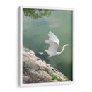 Garza y Libélula - FotoCompagny | Cuadro decorativo de Canvas Lab