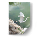 Garza y Libélula - FotoCompagny | Cuadro decorativo de Canvas Lab