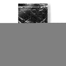 SEMPRE - Salminda | Cuadro decorativo de Canvas Lab