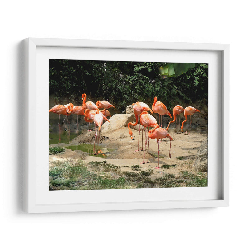 Flamencos - Corrococho | Cuadro decorativo de Canvas Lab