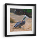 Pelicano - Corrococho | Cuadro decorativo de Canvas Lab