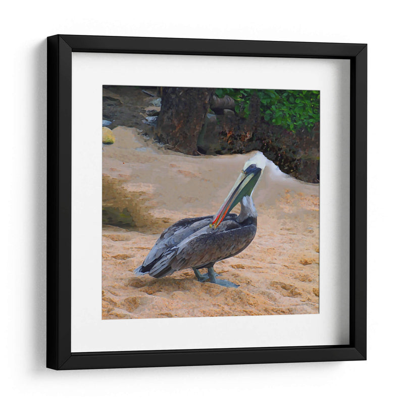 Pelicano - Corrococho | Cuadro decorativo de Canvas Lab