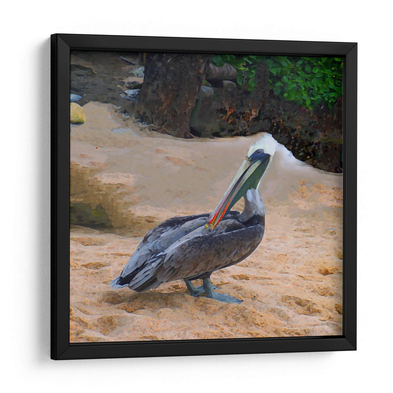 Pelicano - Corrococho | Cuadro decorativo de Canvas Lab