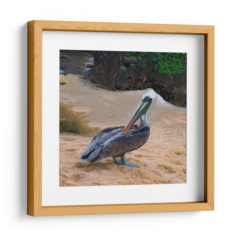 Pelicano - Corrococho | Cuadro decorativo de Canvas Lab