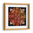 Tonatiuh - YH | Cuadro decorativo de Canvas Lab