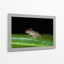 Cuadro decorativo de Canvas Lab