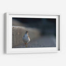 Alzacolita - Cuauhtli.foto | Cuadro decorativo de Canvas Lab