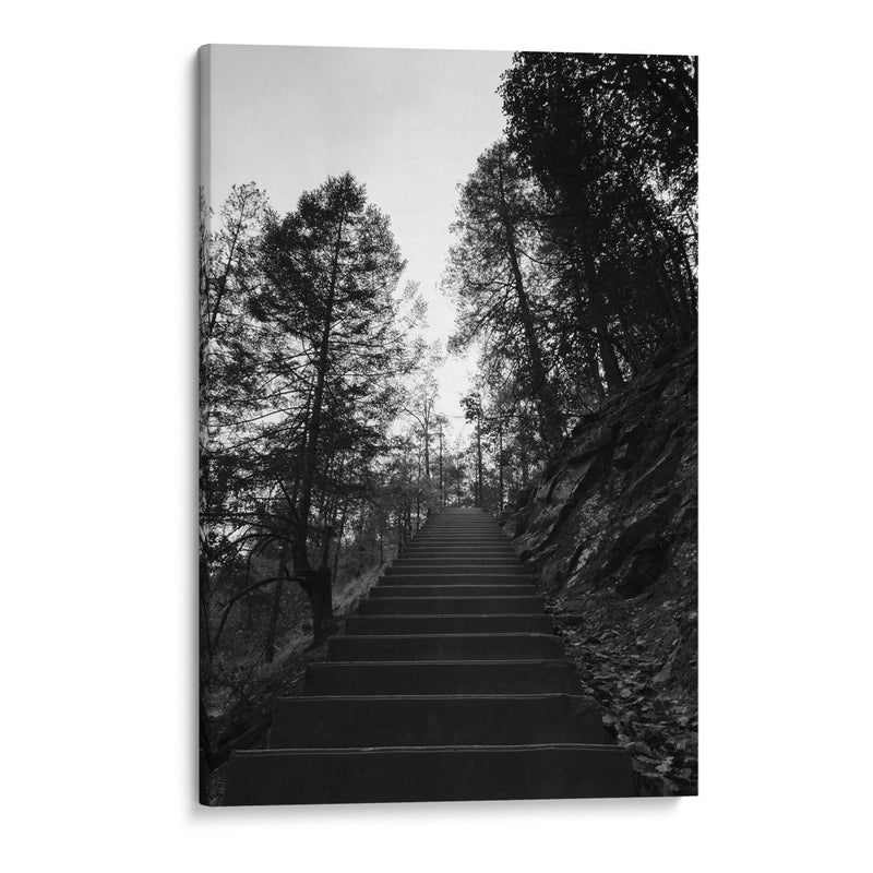 Escaleras de Cusarare 01 BW - Charly Garibay | Cuadro decorativo de Canvas Lab