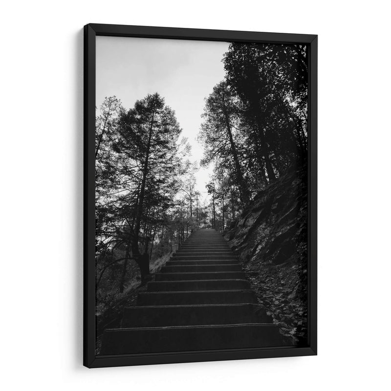 Escaleras de Cusarare 01 BW - Charly Garibay | Cuadro decorativo de Canvas Lab