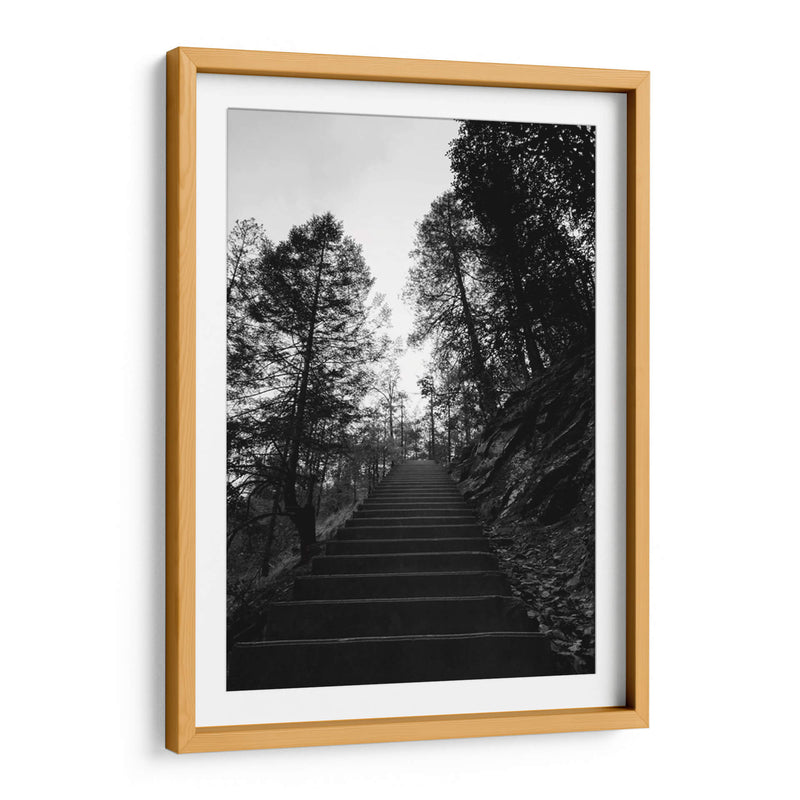 Escaleras de Cusarare 01 BW - Charly Garibay | Cuadro decorativo de Canvas Lab