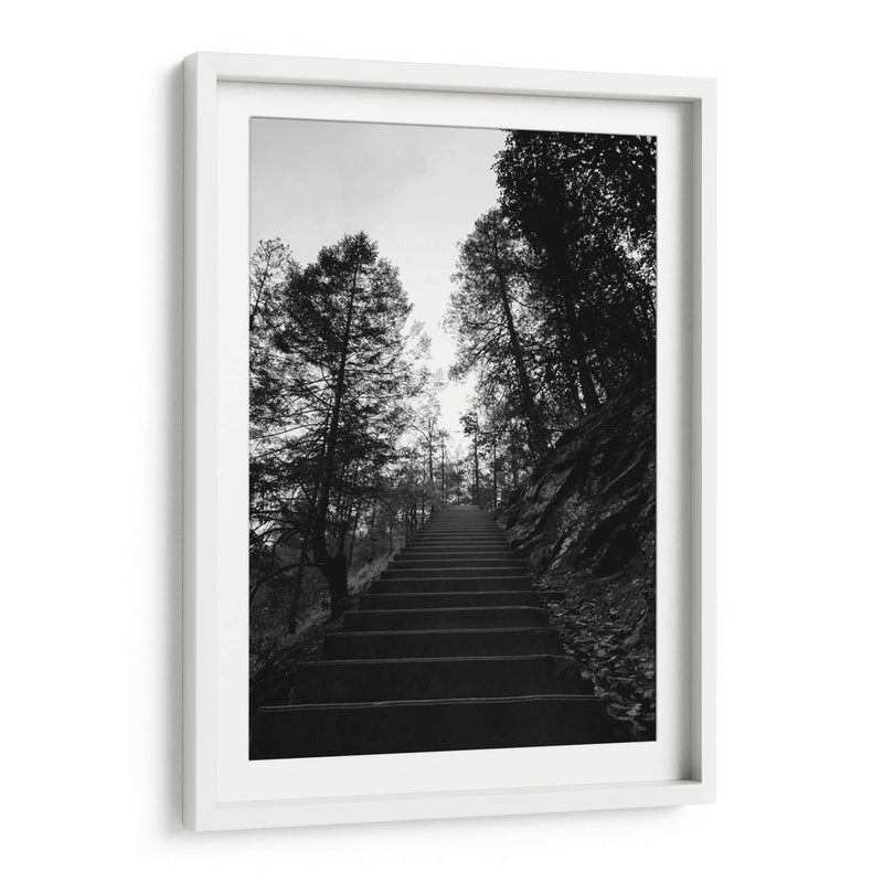 Escaleras de Cusarare 01 BW - Charly Garibay | Cuadro decorativo de Canvas Lab