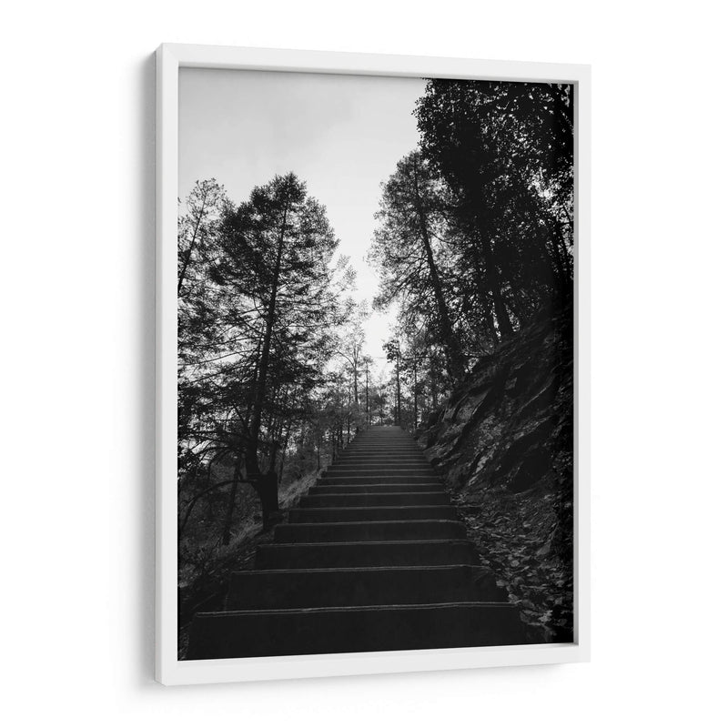 Escaleras de Cusarare 01 BW - Charly Garibay | Cuadro decorativo de Canvas Lab