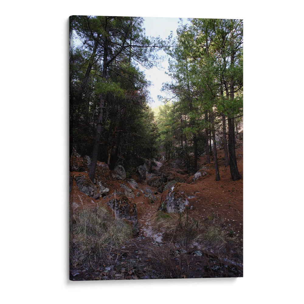 Bosque 01 - Charly Garibay | Cuadro decorativo de Canvas Lab