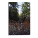 Bosque 01 - Charly Garibay | Cuadro decorativo de Canvas Lab