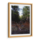 Bosque 01 - Charly Garibay | Cuadro decorativo de Canvas Lab