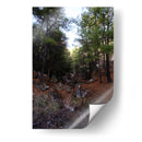 Bosque 01 - Charly Garibay | Cuadro decorativo de Canvas Lab